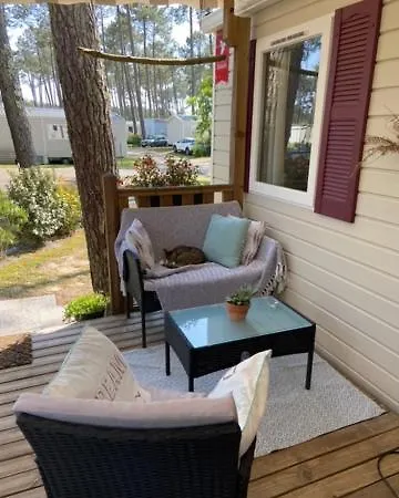 Mobilhome Avec Espace Au Milieu Des Pins Proche De La Sur Le 